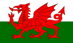 The Welsh Flag